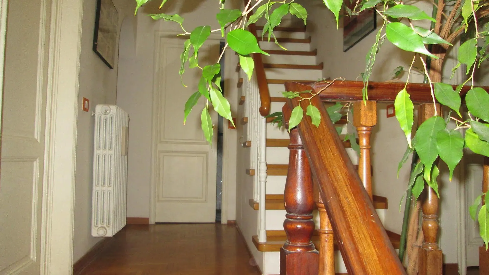 Bed & Breakfast B&B Le Ortensie Florence